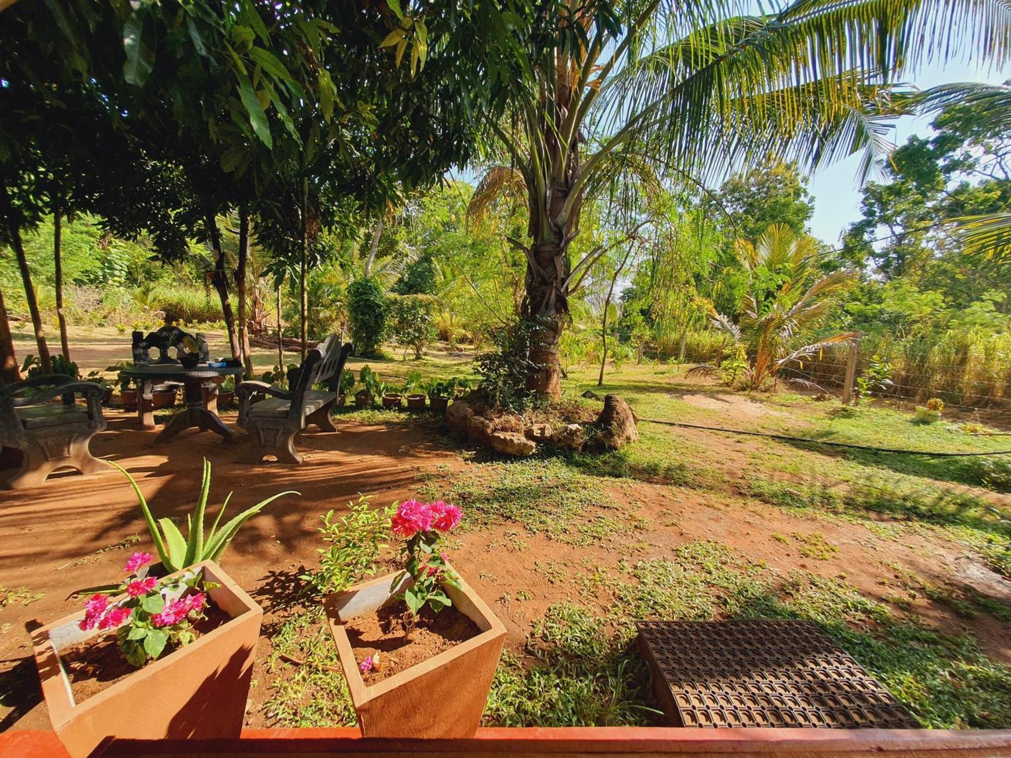 Jungle Eco Lodge & Safari Sigiriya Exteriér fotografie