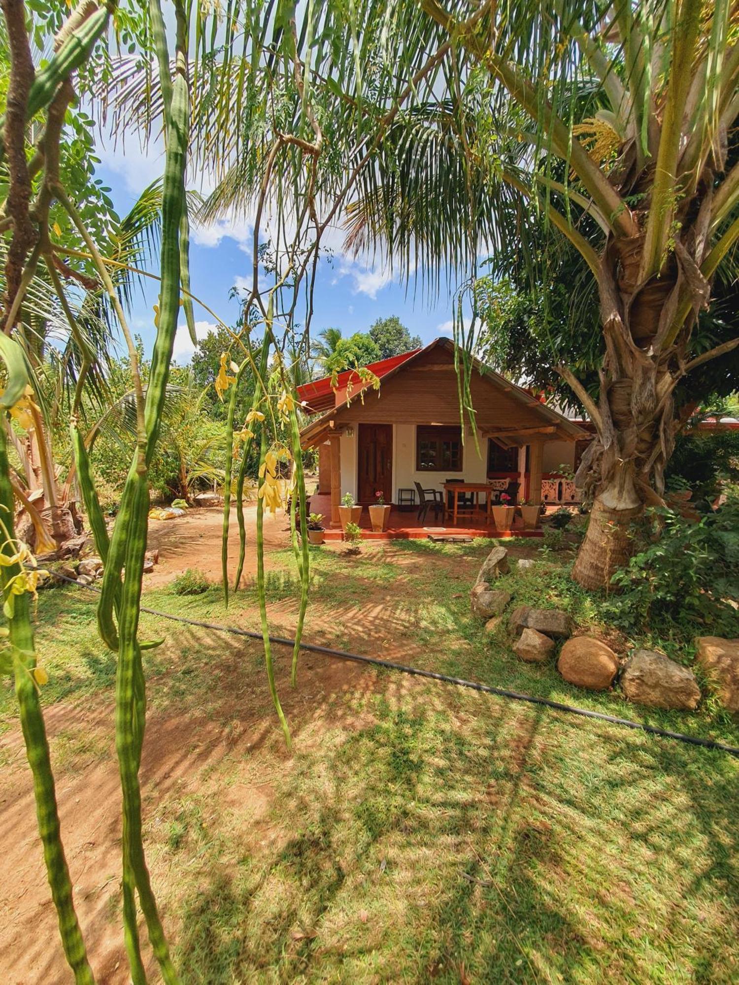 Jungle Eco Lodge & Safari Sigiriya Exteriér fotografie