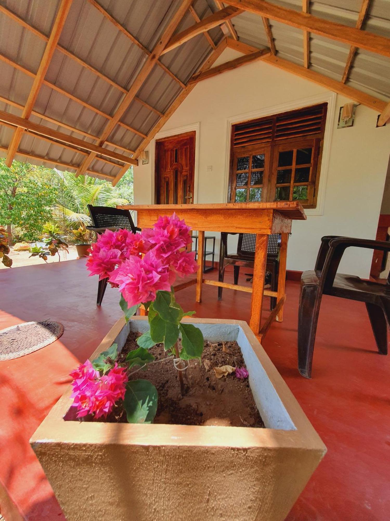 Jungle Eco Lodge & Safari Sigiriya Exteriér fotografie