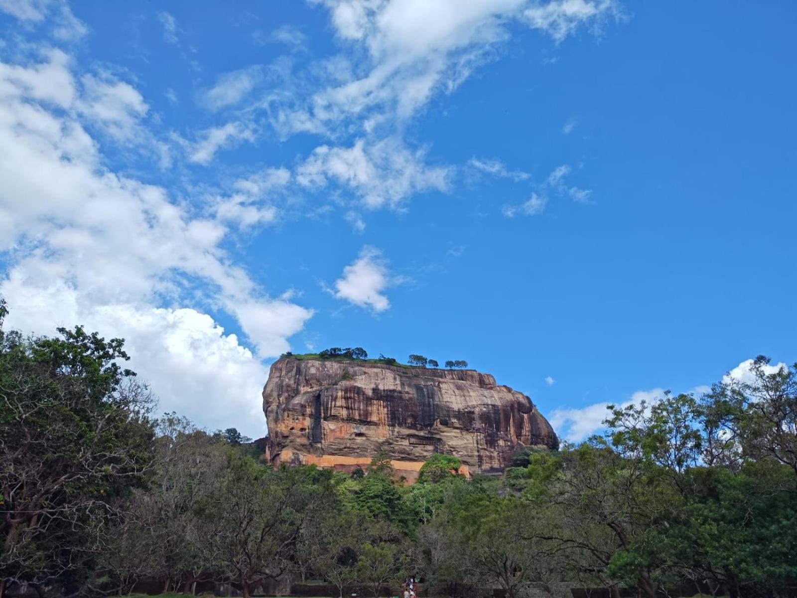 Jungle Eco Lodge & Safari Sigiriya Exteriér fotografie
